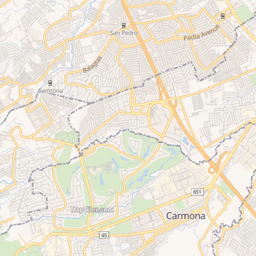 Chrysanthemum Village San Pedro Laguna Barangay